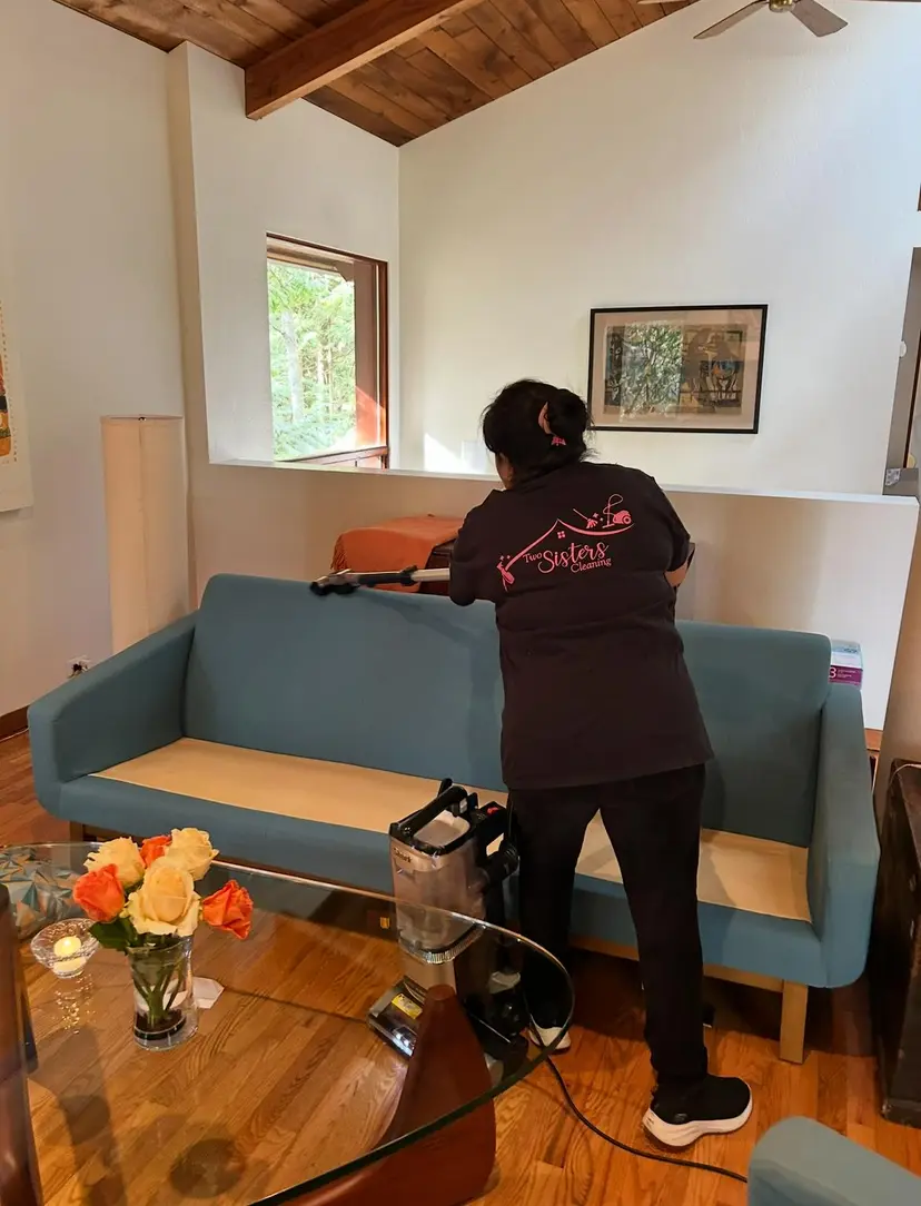 Two Sisters Cleaning at work
