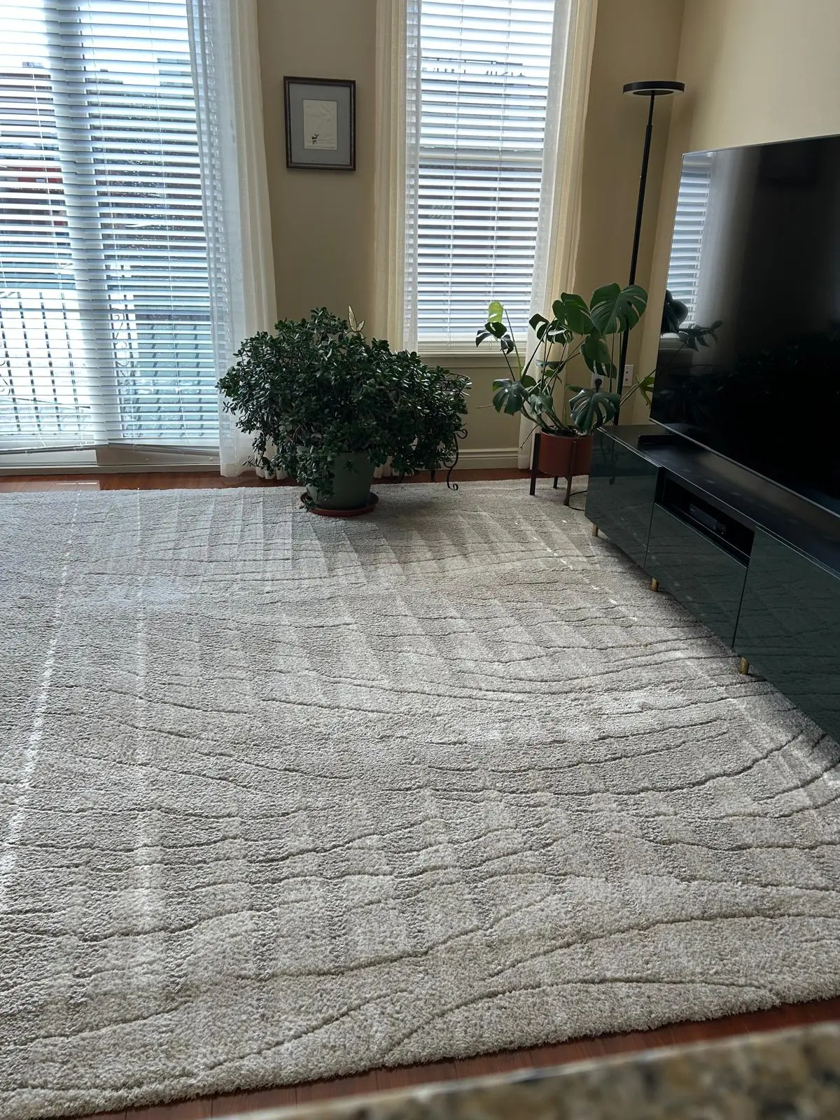 Fresh rug, fresh room